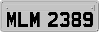 MLM2389