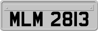 MLM2813