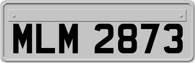MLM2873