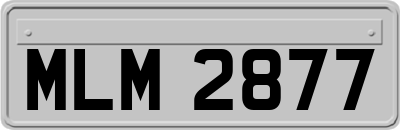 MLM2877