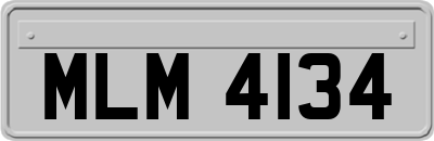 MLM4134
