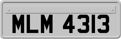 MLM4313