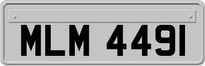 MLM4491