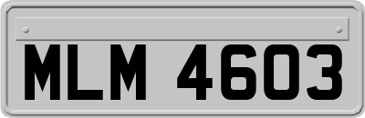 MLM4603