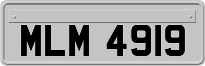 MLM4919