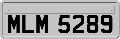 MLM5289
