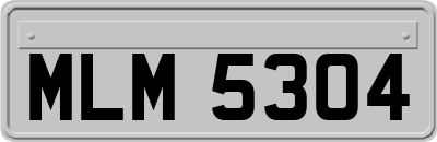 MLM5304
