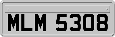 MLM5308