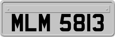 MLM5813