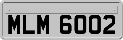 MLM6002