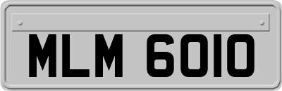 MLM6010