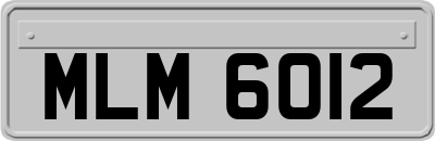 MLM6012