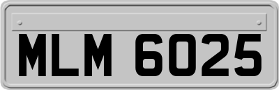 MLM6025