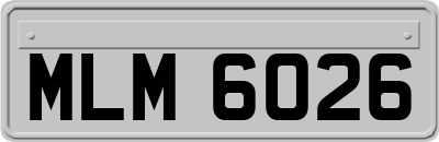 MLM6026