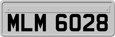MLM6028