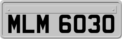MLM6030