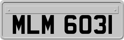 MLM6031