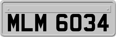 MLM6034