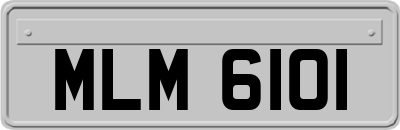 MLM6101