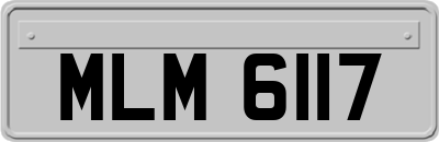 MLM6117