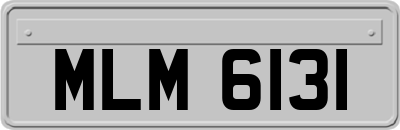 MLM6131