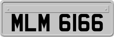 MLM6166