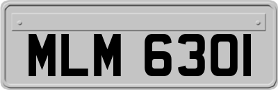MLM6301