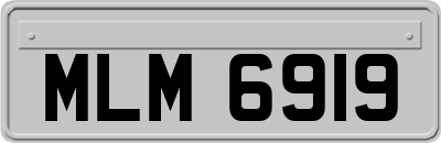 MLM6919