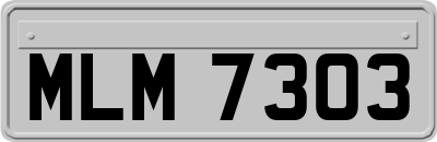 MLM7303