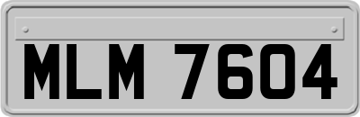 MLM7604