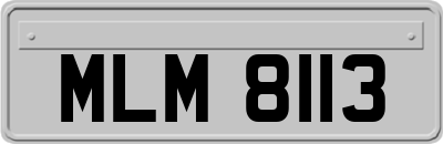 MLM8113