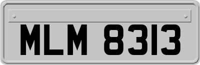 MLM8313
