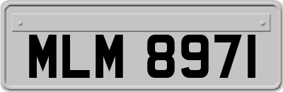 MLM8971