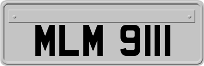 MLM9111