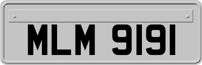 MLM9191