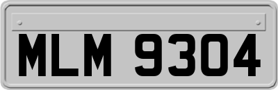MLM9304