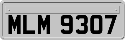 MLM9307