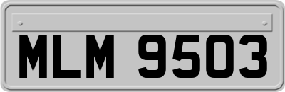 MLM9503