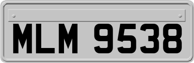 MLM9538