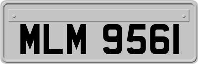 MLM9561