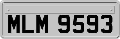 MLM9593