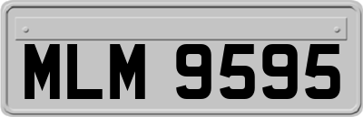 MLM9595