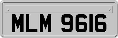 MLM9616