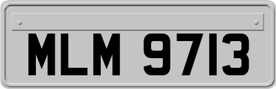 MLM9713