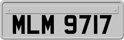 MLM9717