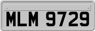 MLM9729