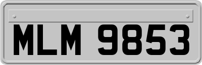 MLM9853