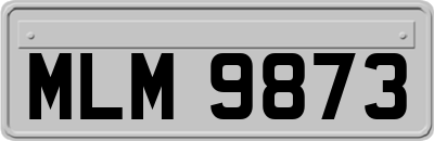 MLM9873