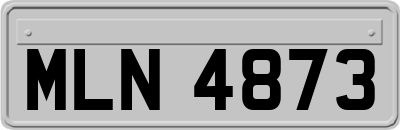 MLN4873