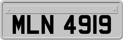 MLN4919